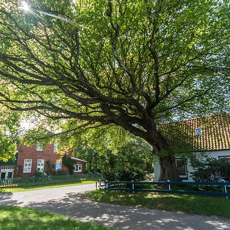 Apartament Backbord *