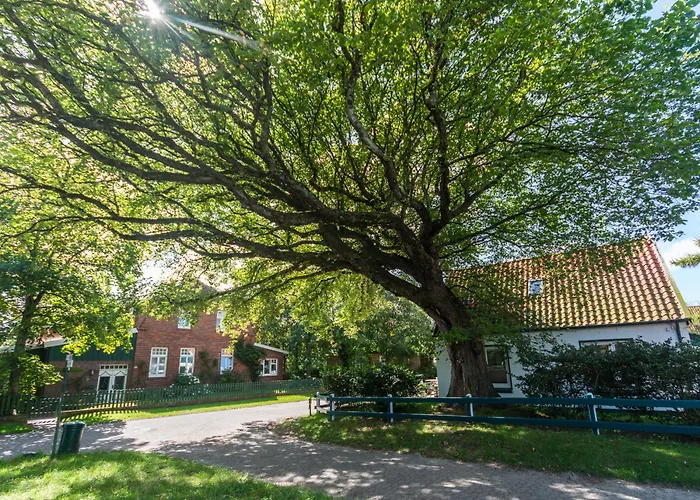 Апартаменты Backbord *