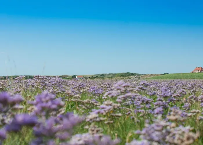 Апартаменты Backbord Шпикерог