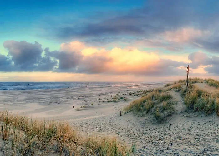 Backbord * Шпикерог