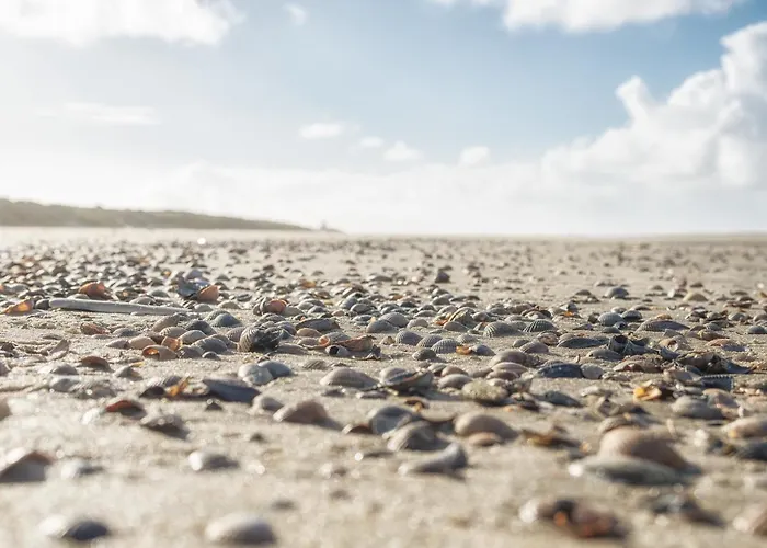 Backbord Шпикерог